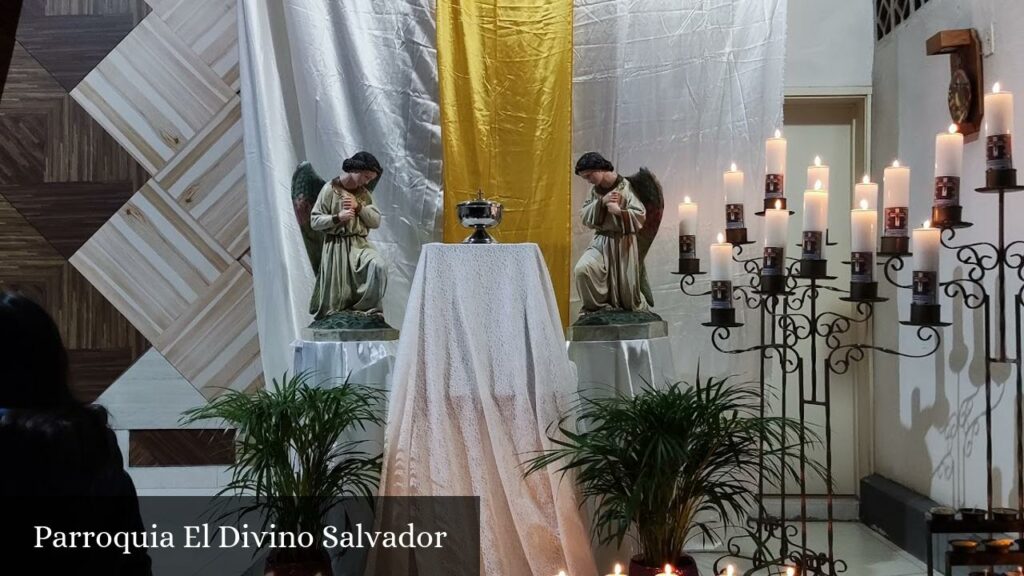 Parroquia El Divino Salvador - Manizales (Caldas)